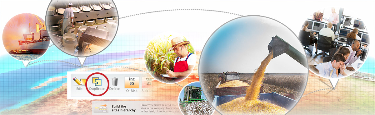 Multisite feature image